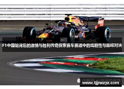 F1中国站背后的激情与胜利传奇探索赛车赛道中的戏剧性与巅峰对决