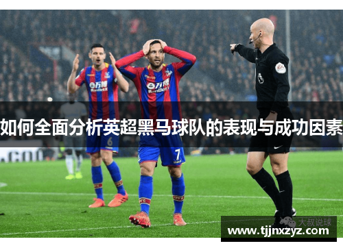 如何全面分析英超黑马球队的表现与成功因素