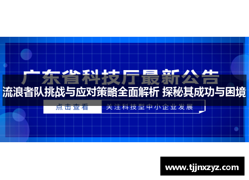 流浪者队挑战与应对策略全面解析 探秘其成功与困境