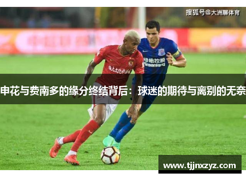 申花与费南多的缘分终结背后：球迷的期待与离别的无奈